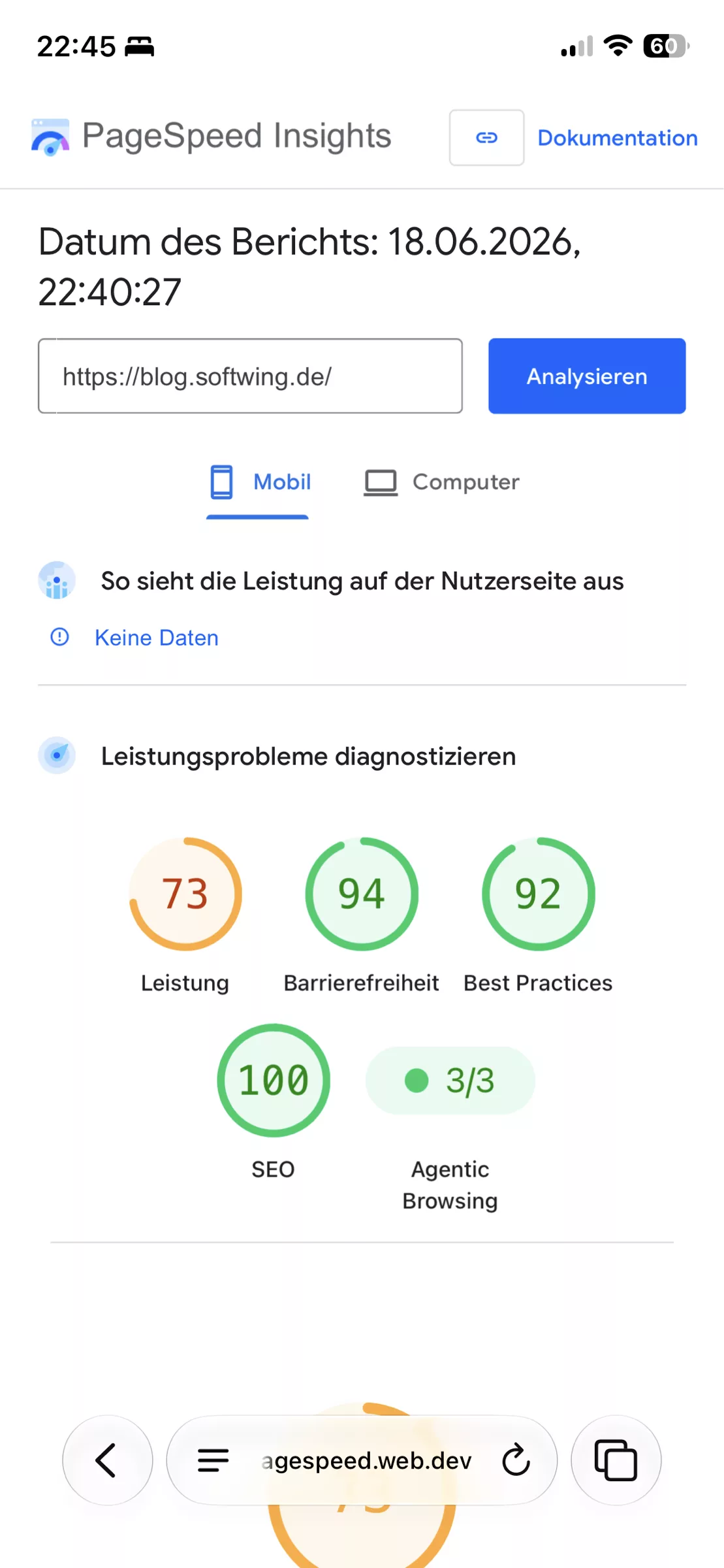 Page Speed Insights für Monilr mit 4x grün ü, nur Leistung ist moch gelb.