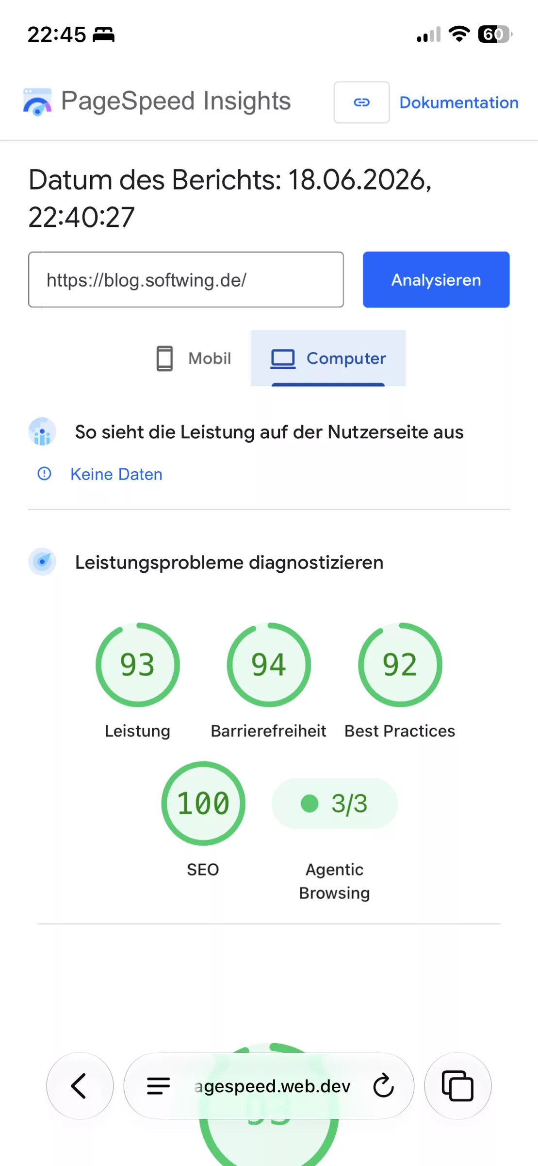 Page Speed ainsight mfür Desktop it allen 5 Bereichrn im grün inklusive Argentisches Brwosen. 