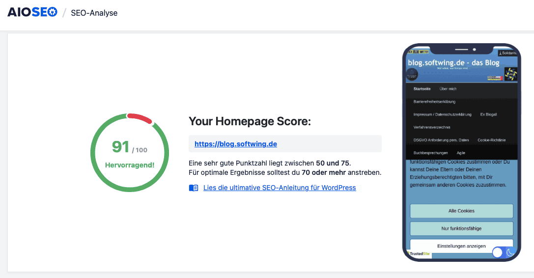 Ein SEO-Score von 91 für das Blog vom WordPress-Plugin All in One SEO.