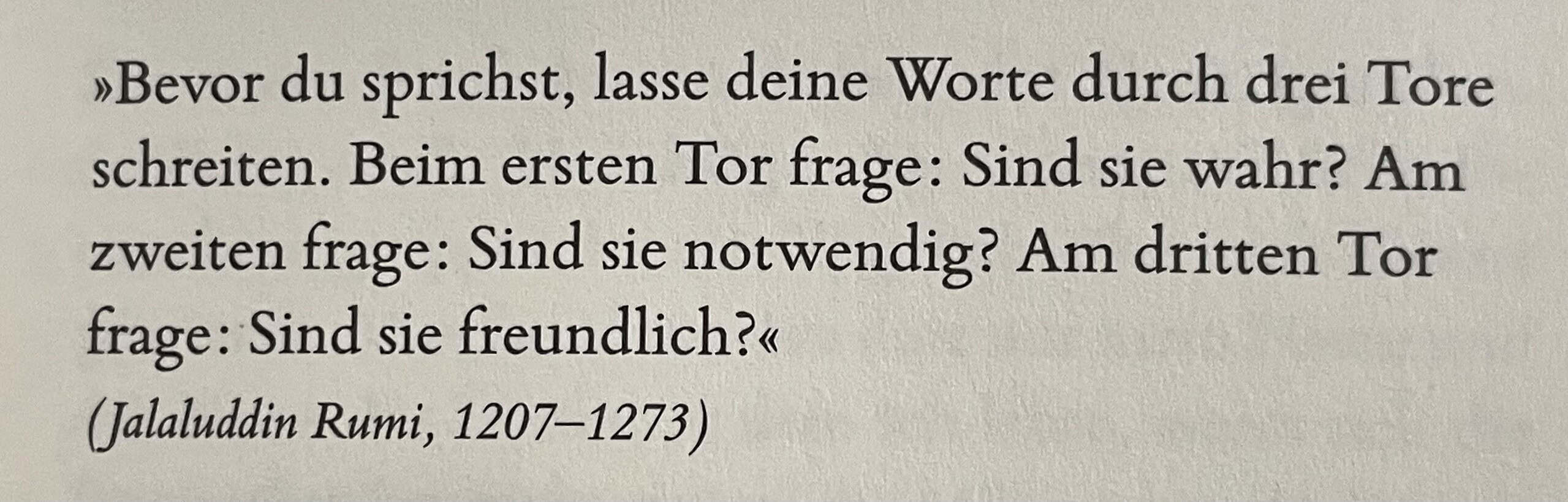 Zitat von Jalaluddin Rumi zum Bewerten von Gesprochenem. 