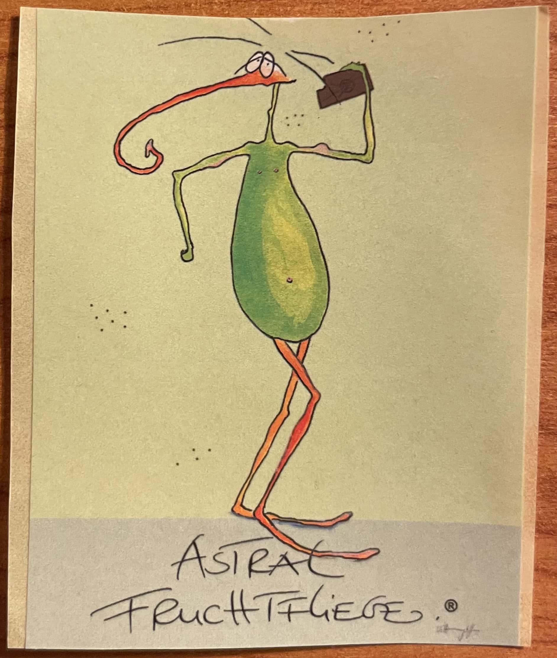 Comic-Zeichnung einer stehenden grünen Fluege mit oranger Nase und Beinen und Bildunterschrift: Astral Fruchtflieger.
