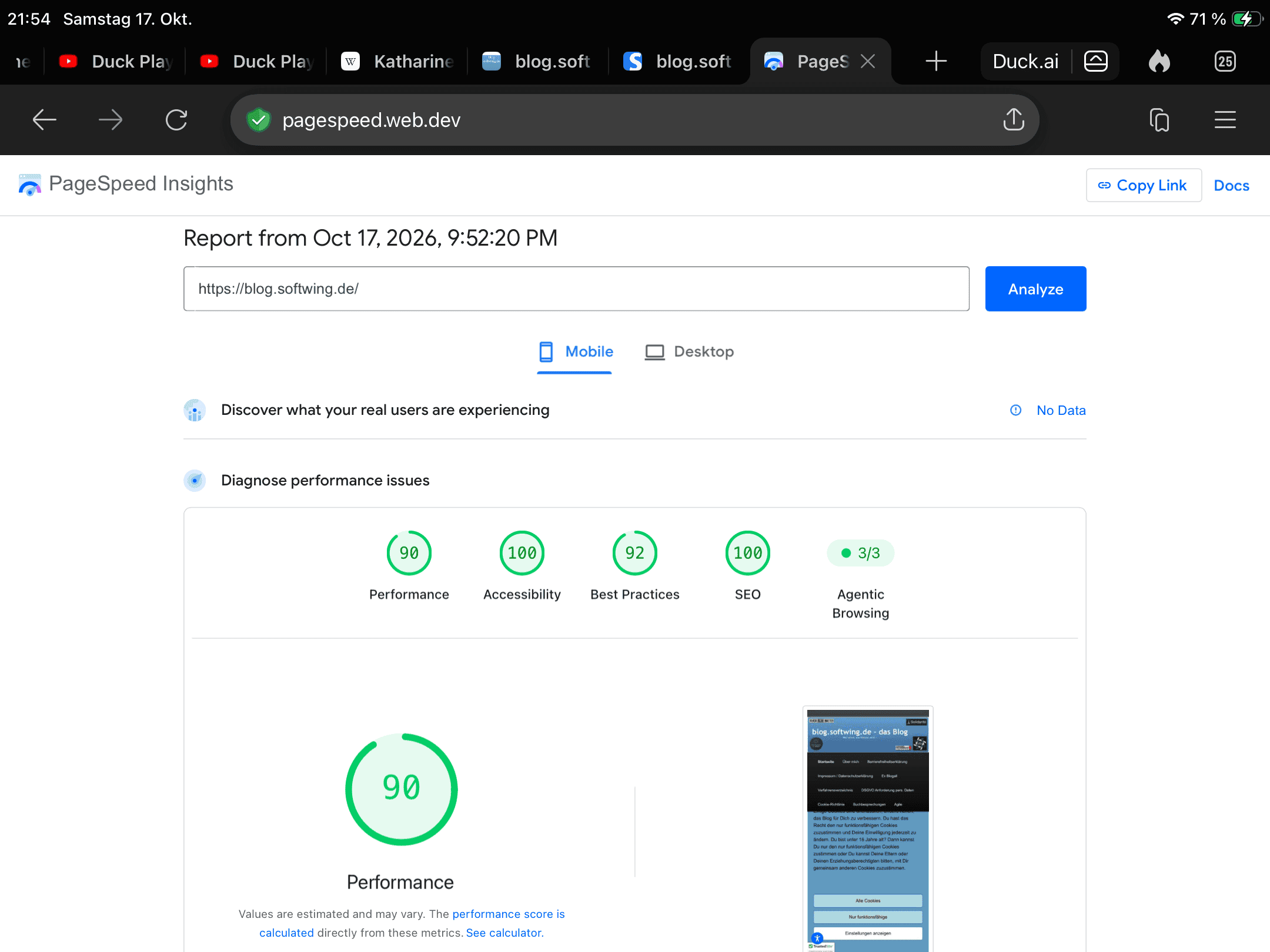 PageSpeed Insights mit recht guten Lighthouse-Werten fürs Blog in der Mobile-Ansicht.
