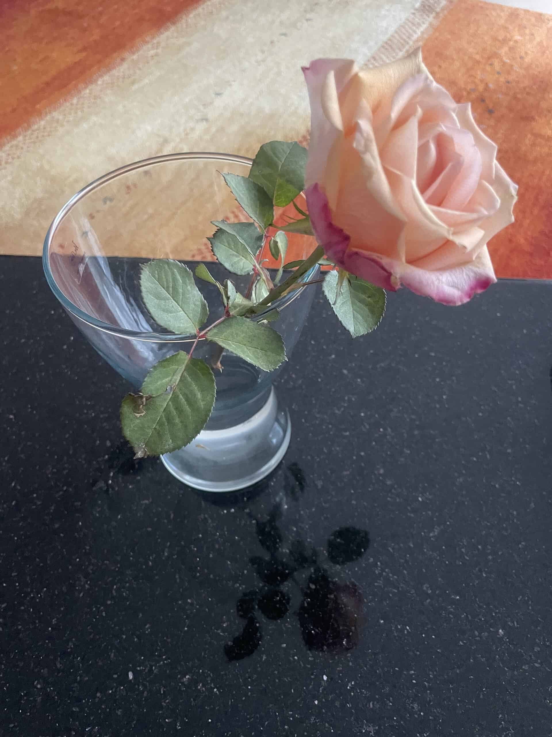 Orange Rose in Glasvase auf schwarzem Granittisch.