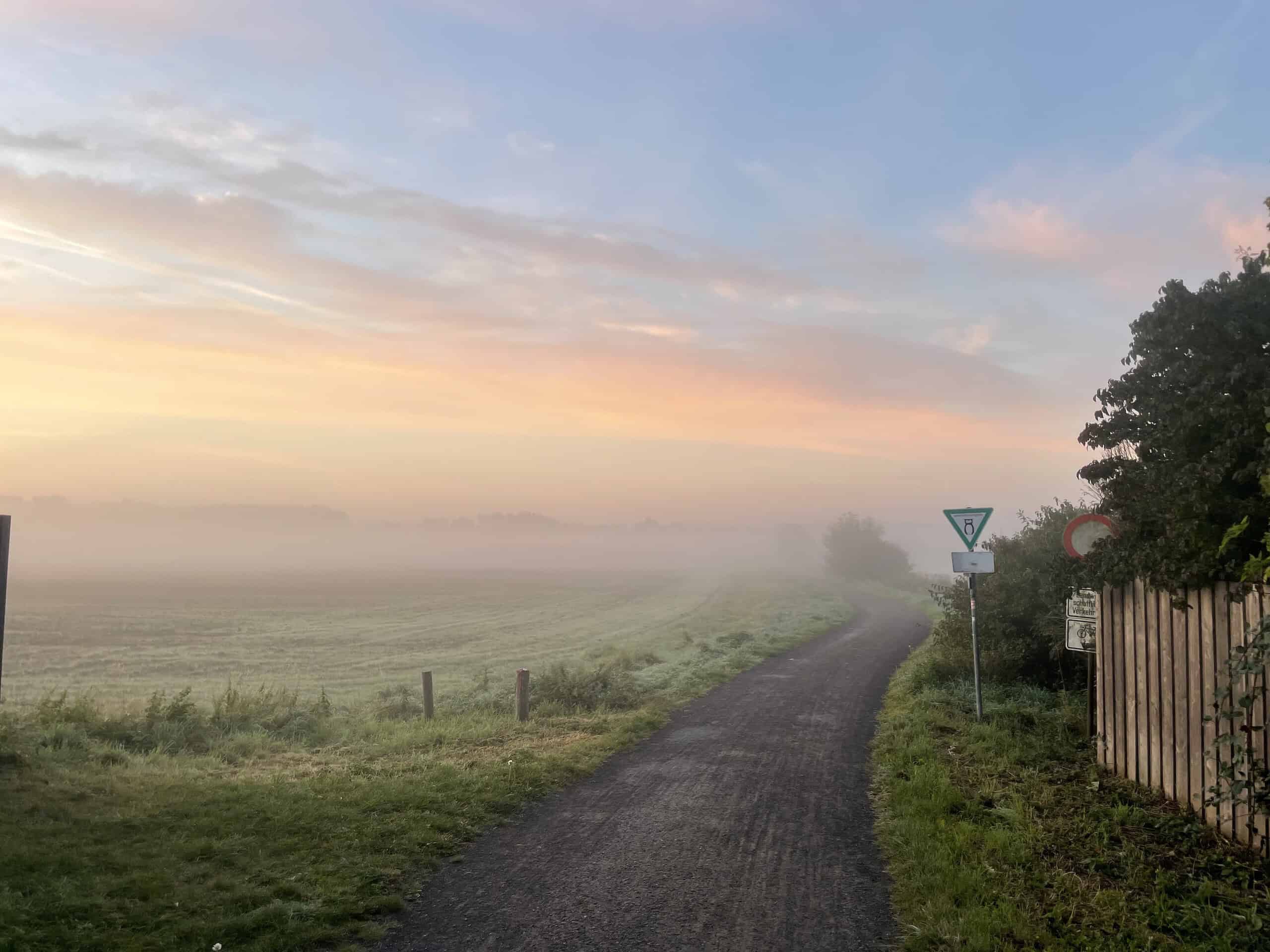Morgens, Weg ins Grüne mit Nebel und sonnig gelb-orangen Streifen.