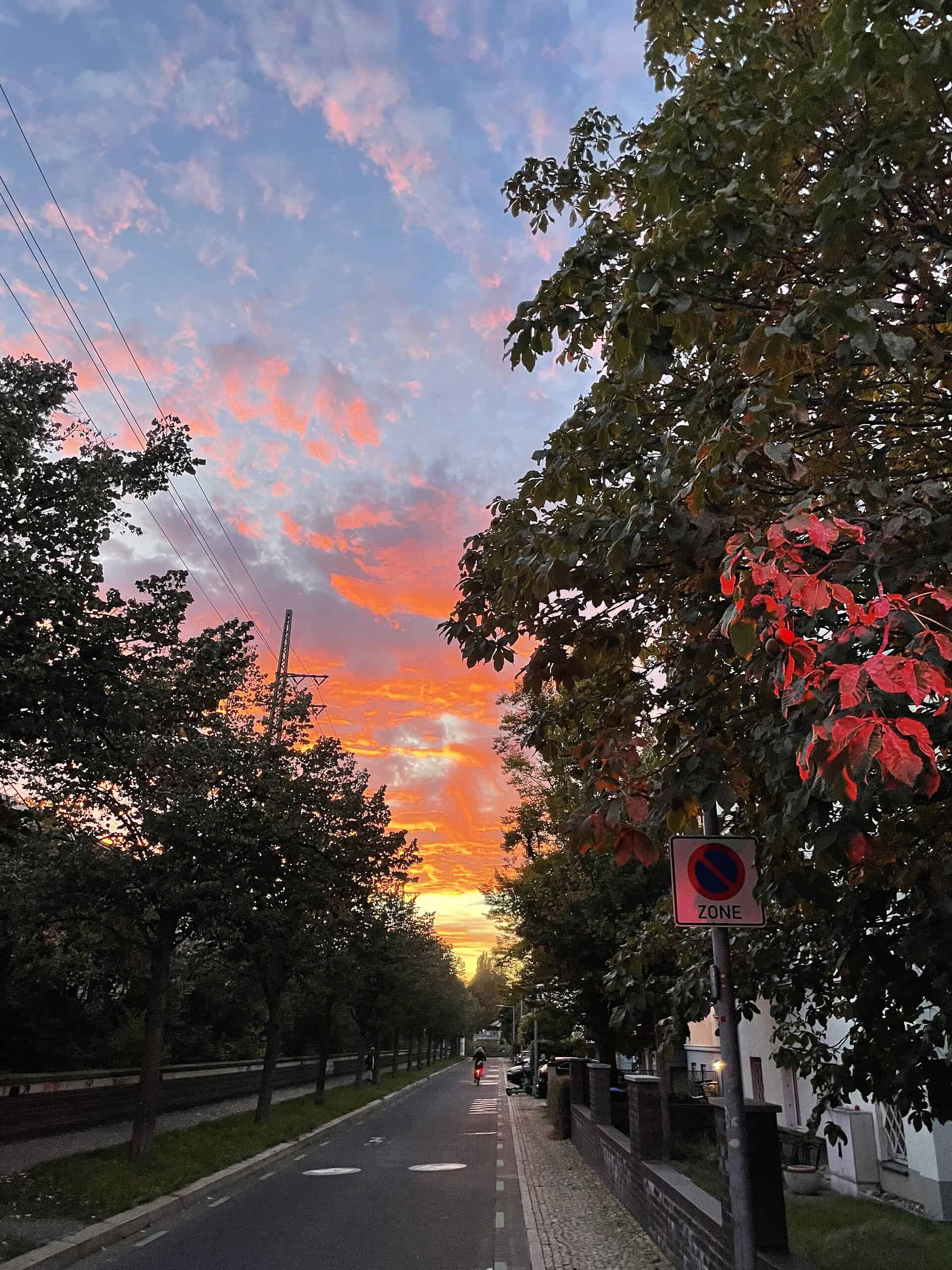 Straße, links und rechts Bäume und Inder Mitte bunter Himmel.